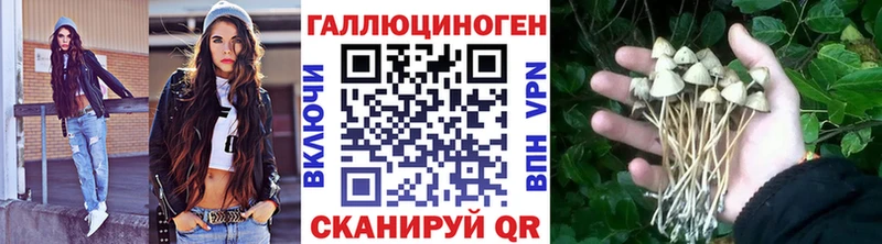 Купить  Кудымкар  Галлюциногенные грибы MAGIC MUSHROOMS 